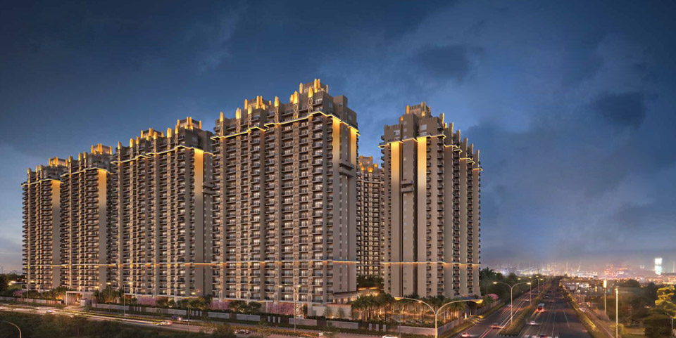 DLF Lux 5